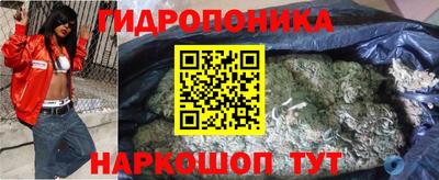 гидропоника Будённовск