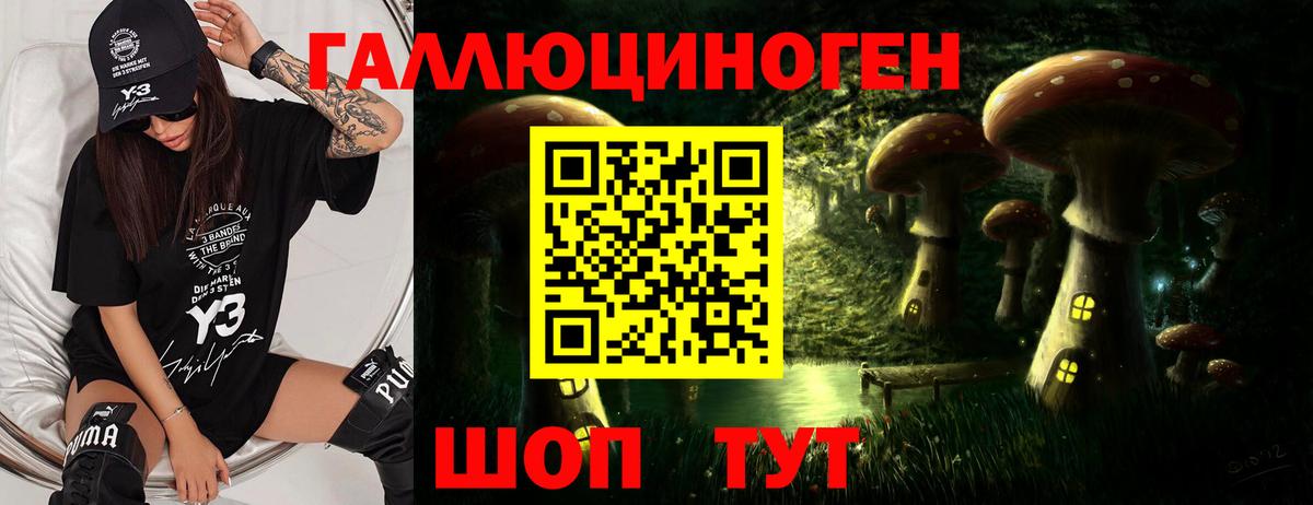 Псилоцибиновые грибы Psilocybe  Псилоцибиновые грибы MAGIC MUSHROOMS  Ялуторовск  Вход с VPN 