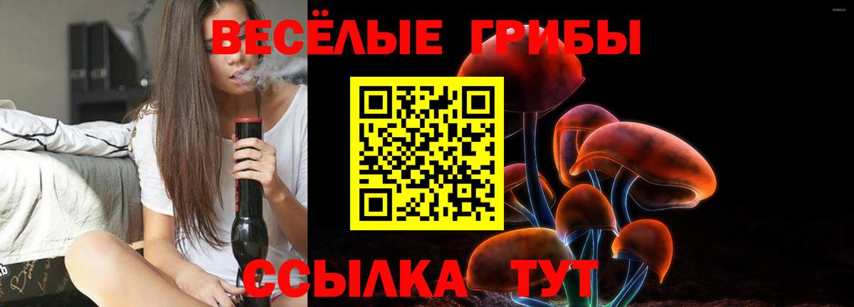 Псилоцибиновые грибы мицелий Ялуторовск